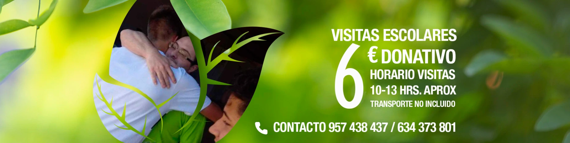 imagen de visitas escolares colegios precio